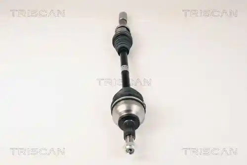 TRISCAN 8540 25606 TRISCAN 8540 25606