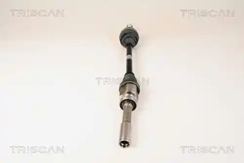 TRISCAN 8540 25606 TRISCAN 8540 25606