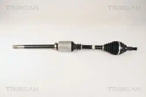 TRISCAN 8540 25648 TRISCAN 8540 25648