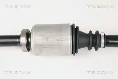 TRISCAN 8540 25648 TRISCAN 8540 25648