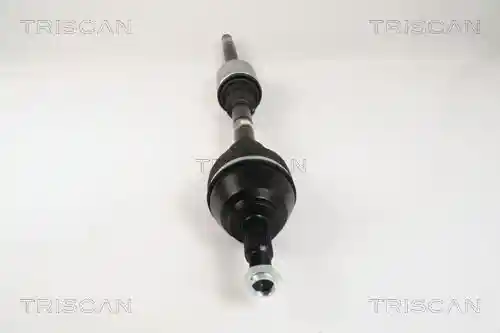 TRISCAN 8540 25648 TRISCAN 8540 25648