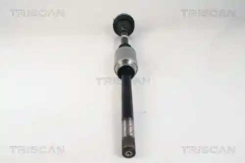 TRISCAN 8540 25648 TRISCAN 8540 25648