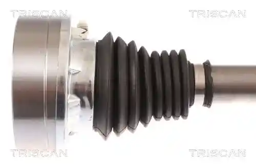 TRISCAN 8540 295019