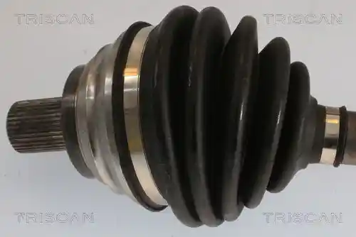 TRISCAN 8540 295060