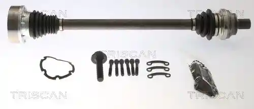 TRISCAN 8540 295080 TRISCAN 8540 295080