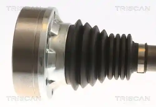 TRISCAN 8540 295080 TRISCAN 8540 295080