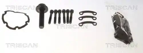 TRISCAN 8540 295080 TRISCAN 8540 295080