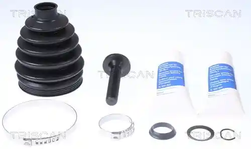 TRISCAN 8540 29831 TRISCAN 8540 29831