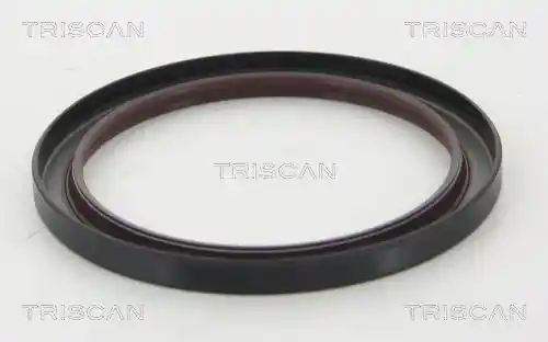 TRISCAN 8550 10061 TRISCAN 8550 10061