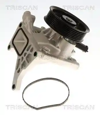 TRISCAN 8600 24062