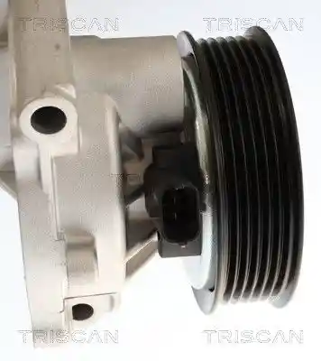 TRISCAN 8600 24062