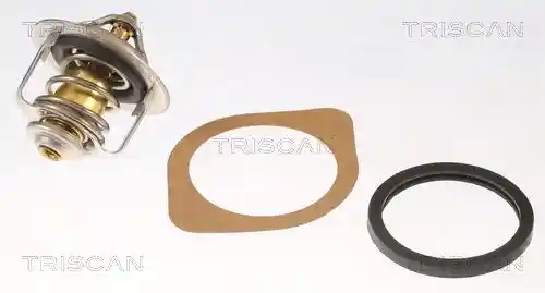 TRISCAN 8620 10989 TRISCAN 8620 10989