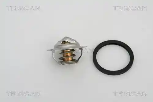 TRISCAN 8620 13888 TRISCAN 8620 13888