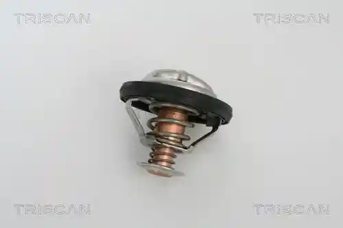 TRISCAN 8620 21791 TRISCAN 8620 21791