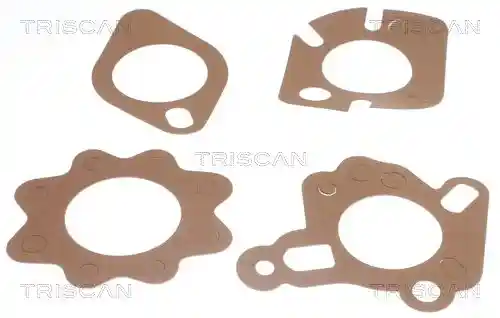 TRISCAN 8620 2188