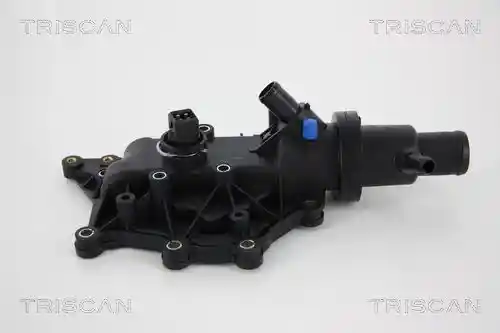 TRISCAN 8620 30489 TRISCAN 8620 30489