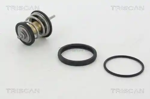 TRISCAN 8620 31795 TRISCAN 8620 31795