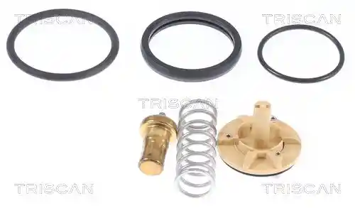 TRISCAN 8620 33083 TRISCAN 8620 33083