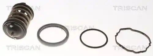 TRISCAN 8620 33380 TRISCAN 8620 33380