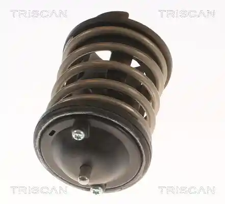 TRISCAN 8620 33380 TRISCAN 8620 33380