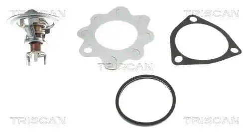 TRISCAN 8620 6082