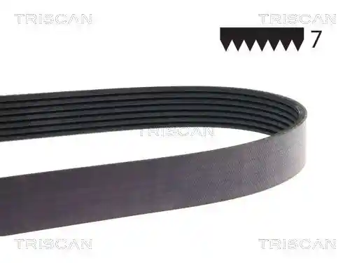 TRISCAN 8640 701078