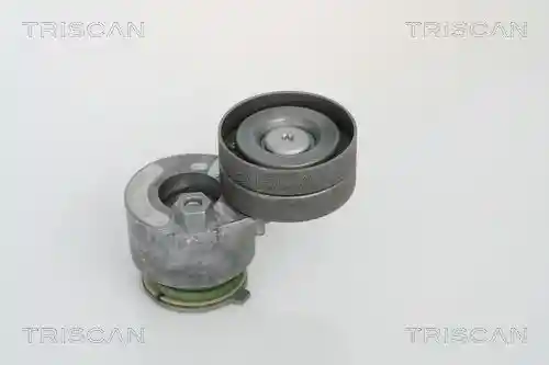 TRISCAN 8641 103018 TRISCAN 8641 103018