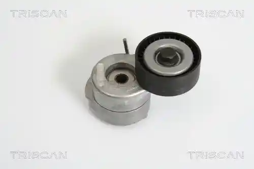TRISCAN 8641 103019 TRISCAN 8641 103019