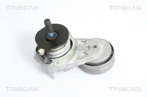TRISCAN 8641 103020 TRISCAN 8641 103020