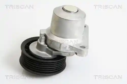 TRISCAN 8641 103033 TRISCAN 8641 103033