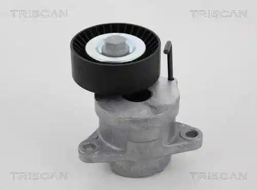 TRISCAN 8641 243013 TRISCAN 8641 243013