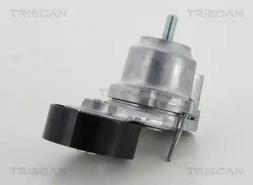 TRISCAN 8641 243014 TRISCAN 8641 243014