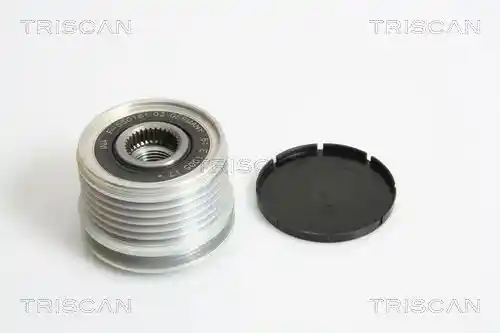 TRISCAN 8641 254005 TRISCAN 8641 254005