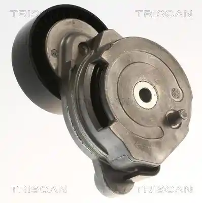 TRISCAN 8641 273005