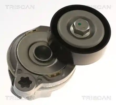 TRISCAN 8641 273005