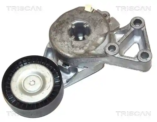 TRISCAN 8641 293003 TRISCAN 8641 293003