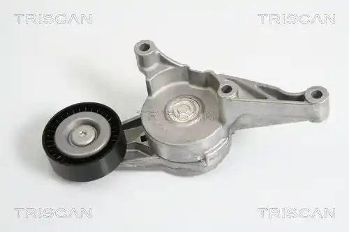 TRISCAN 8641 293016 TRISCAN 8641 293016