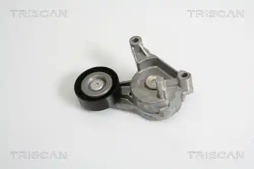 TRISCAN 8641 293017