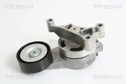TRISCAN 8641 293028