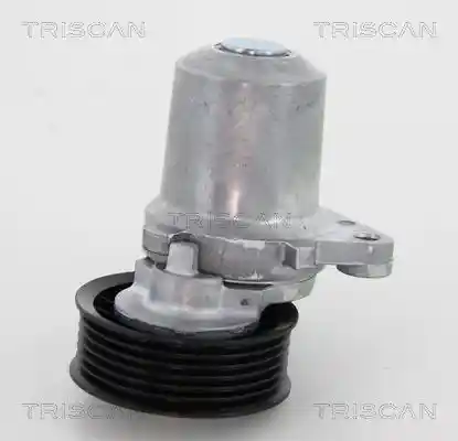 TRISCAN 8641 503003