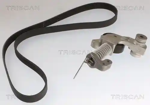 TRISCAN 8642 10062