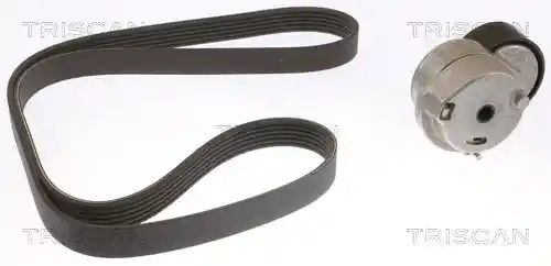 TRISCAN 8642 24006