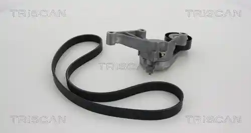 TRISCAN 8642 29001