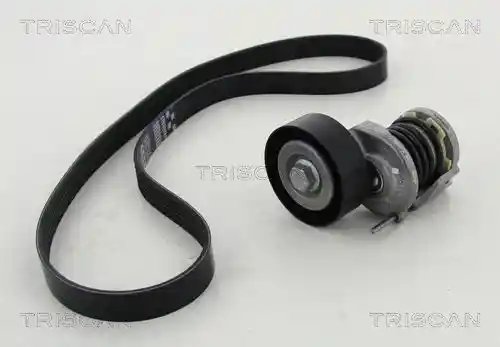 TRISCAN 8642 29011 TRISCAN 8642 29011
