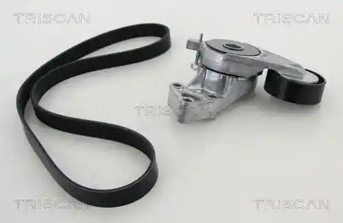 TRISCAN 8642 29017