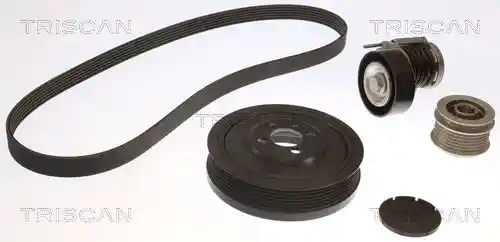 TRISCAN 8642 29029