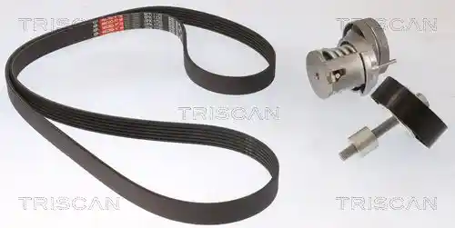 TRISCAN 8642 29048