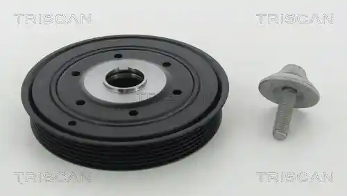 TRISCAN 8643 10005A