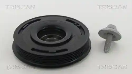 TRISCAN 8643 10005A