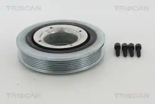 TRISCAN 8643 10010A